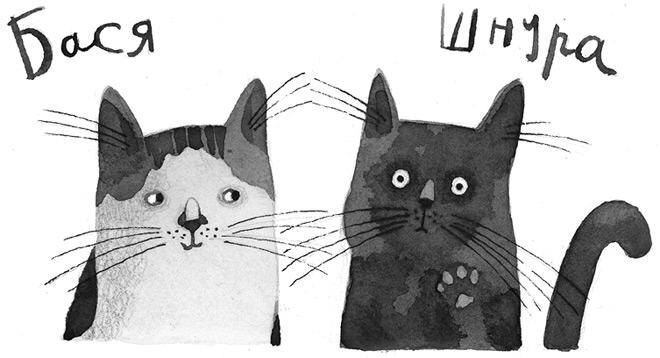 Из электронной книги