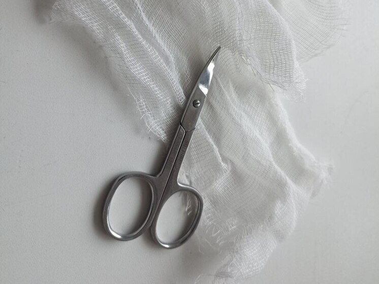     Фото: Архив МК в Питере.