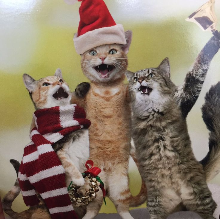 Фото из Яндекса. Спасибо автору. 