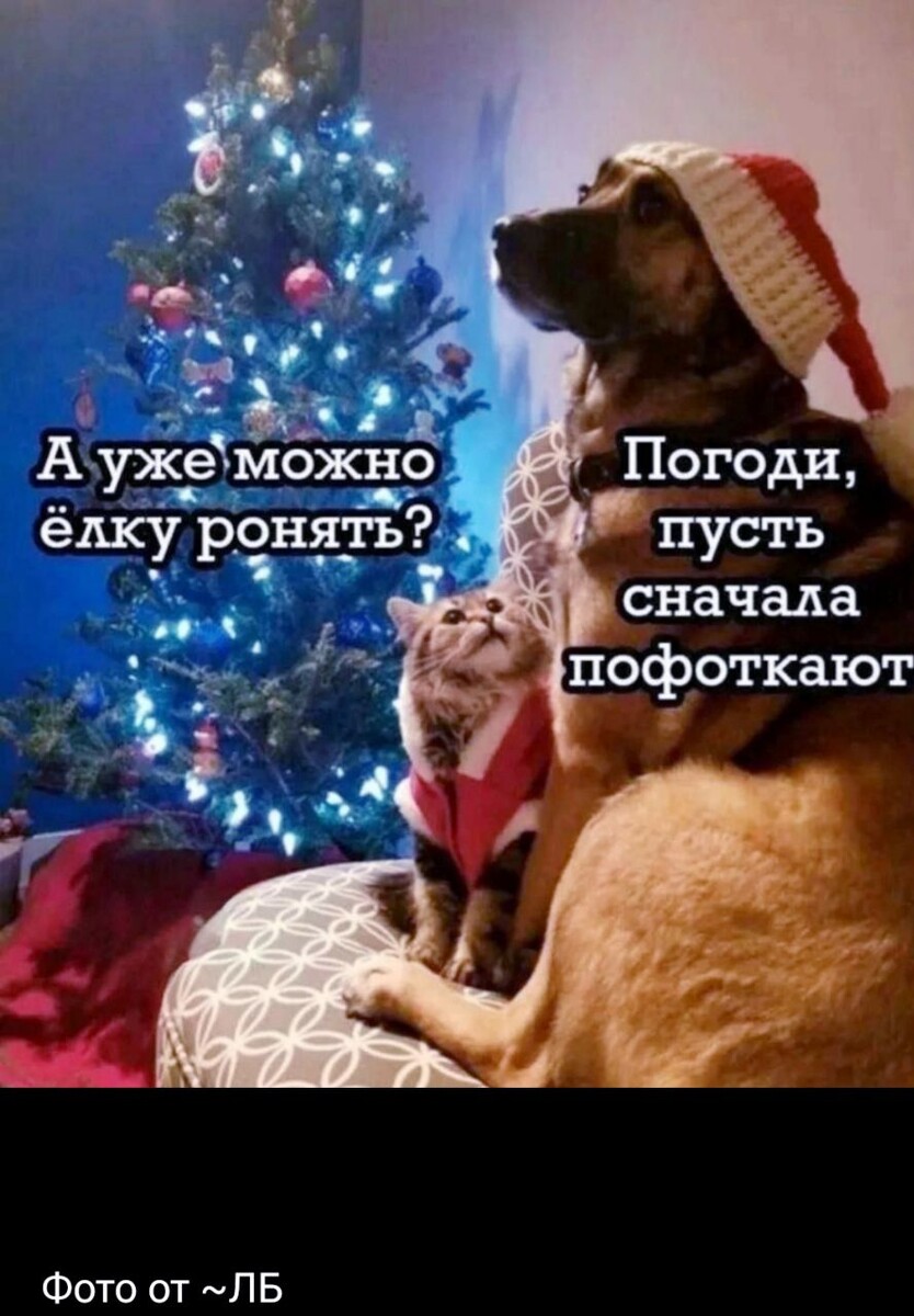 Интернет. Общий доступ