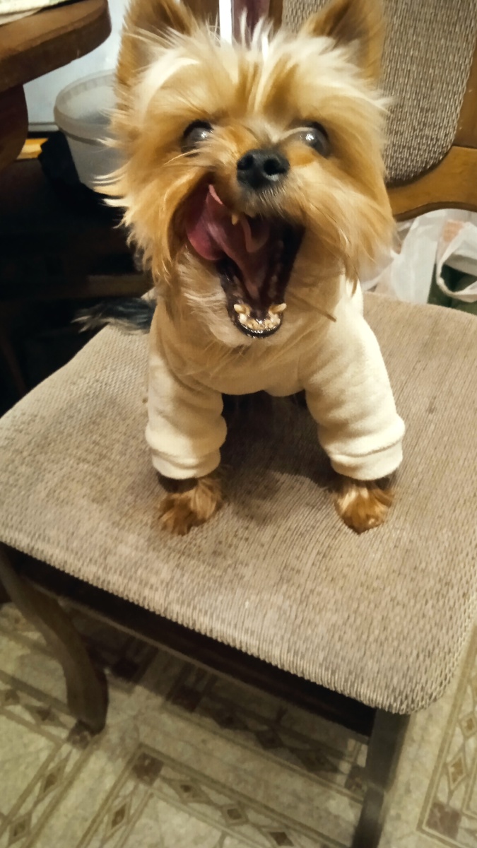 Просыпаемся! Всем доброго утра, хорошего дня!