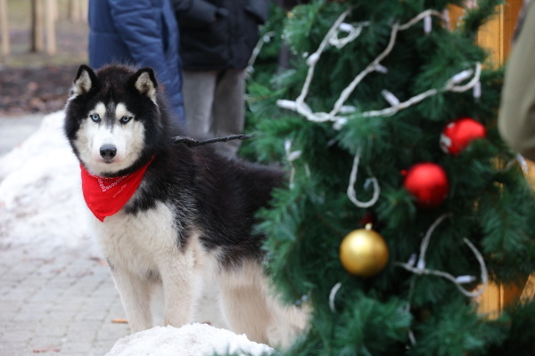 Фото: РИА Новости/Антон Вергун