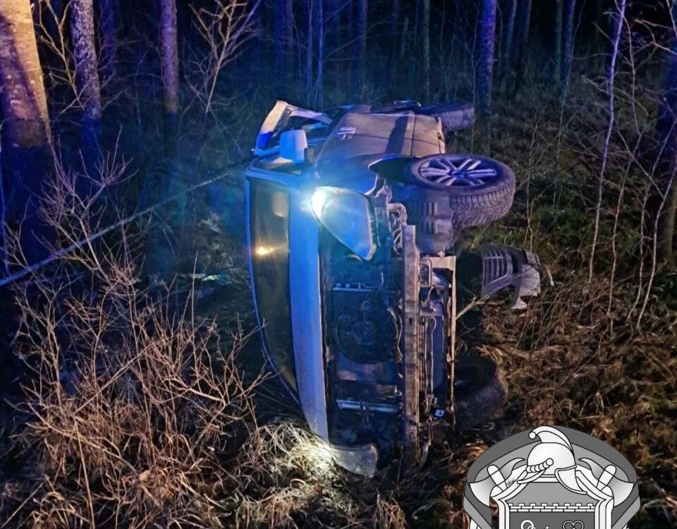 © Леноблпожспас