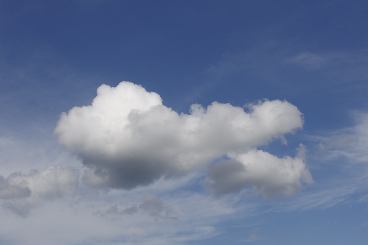 Фото: ИА "Регион 71"