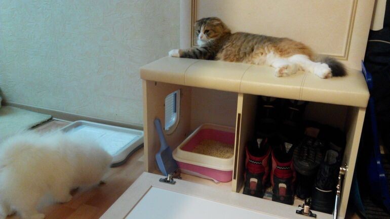 Яндекс картинки