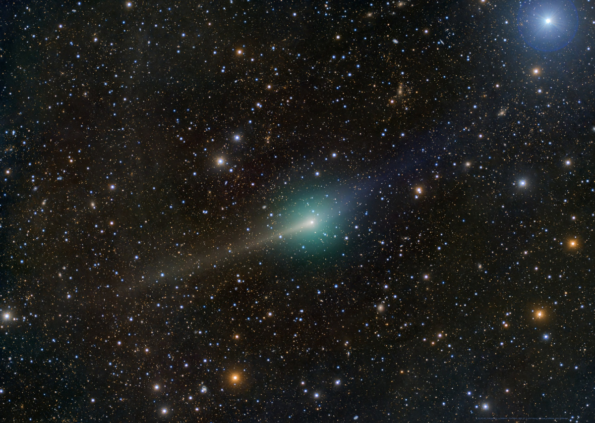 Фото: Dan Bartlett