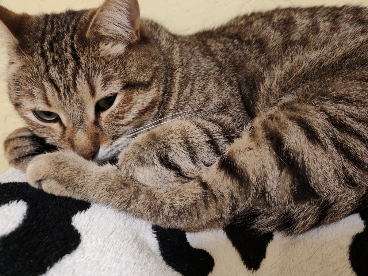 Будьте счастливы! 