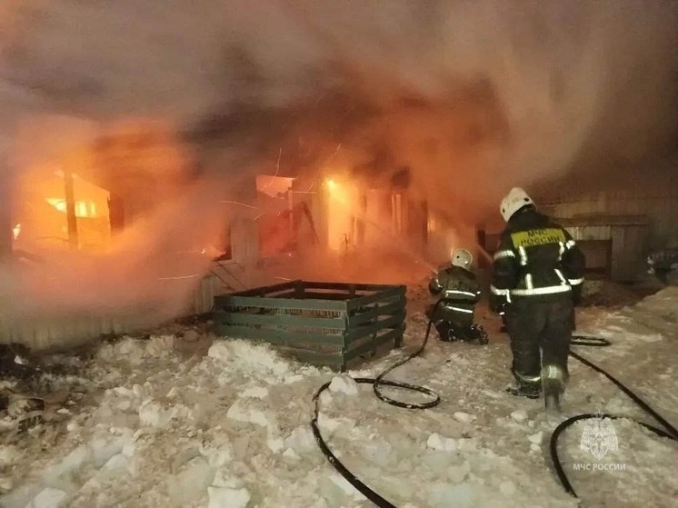     Пожар на Артинской в Екатеринбурге. Фото: t.me/mchs66.