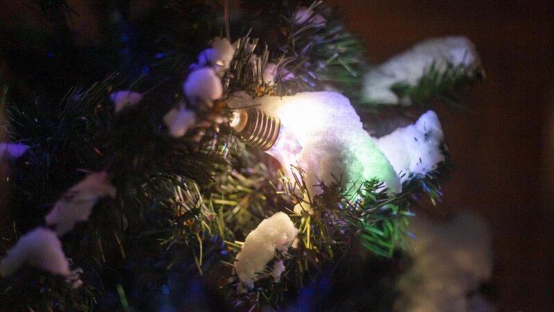     Украшенная елка в Барнауле. Дарья Беркетова