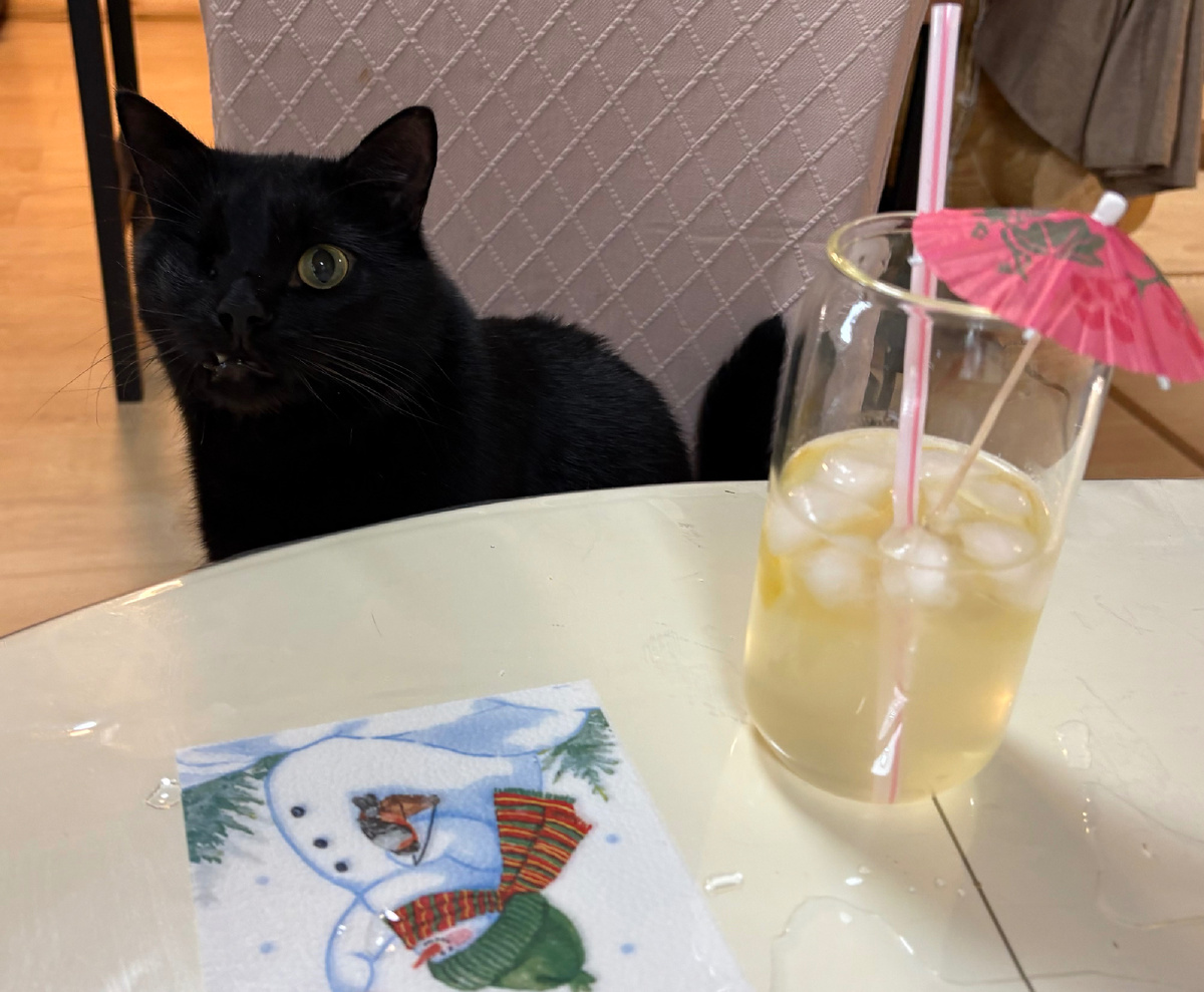 Даже наш кот Бусик голодал в ожидании праздника...