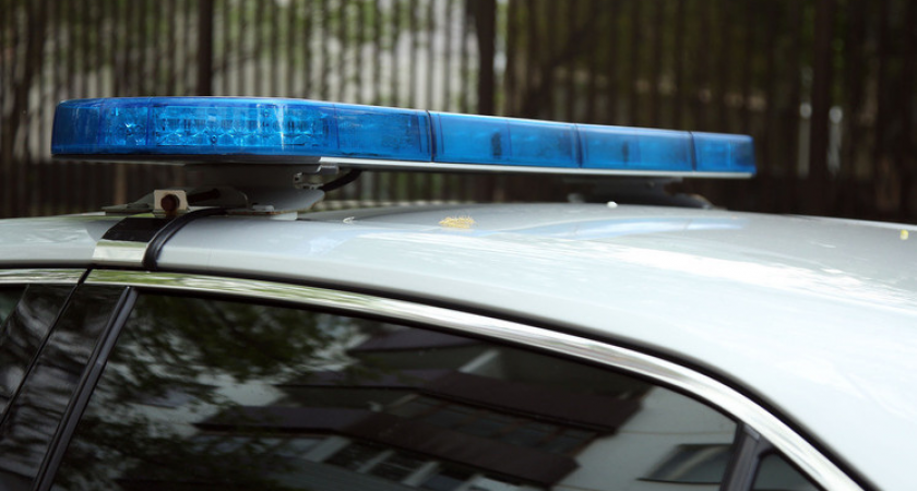    Лилия Шарловская