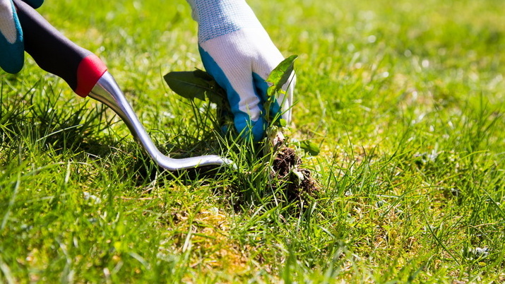 Теперь могу спокойно отдыхать, пока умный огород работает сам