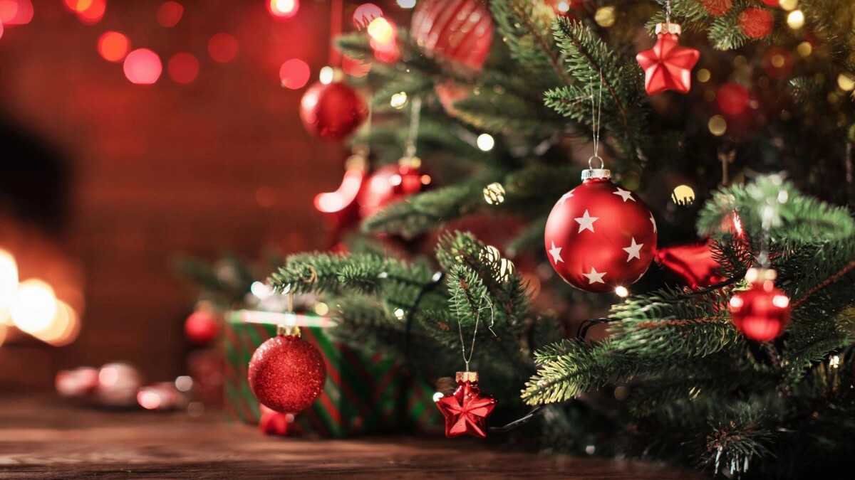    Фото: Pasko Maksim/Shutterstock/Fotodom