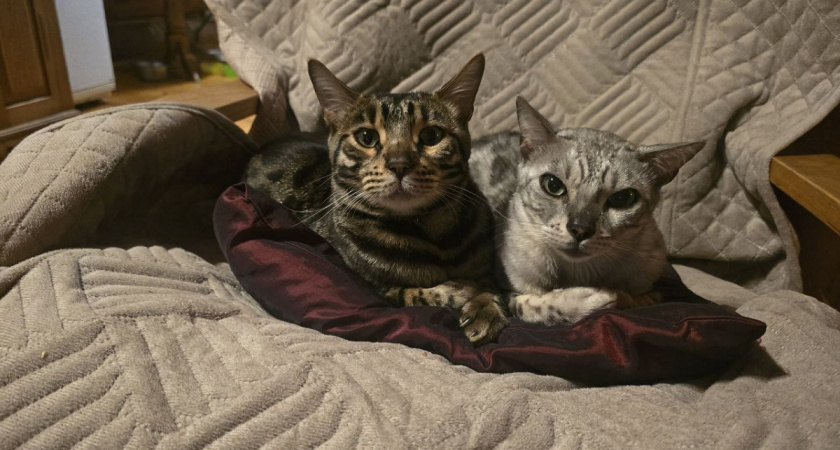    Фото Анастасии Дмитриевой