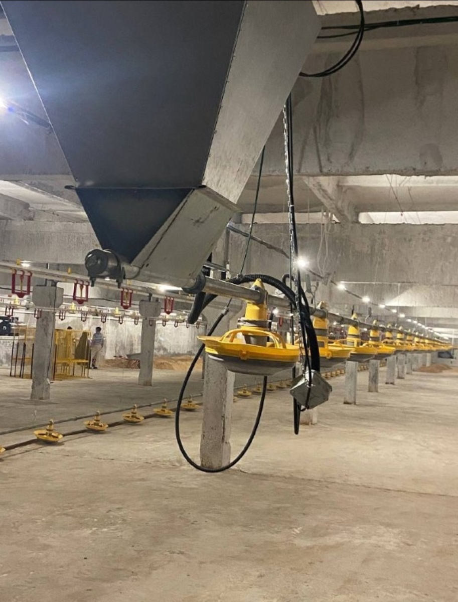 Фото: Телеграм-канал «Чайковский экономический брифинг»