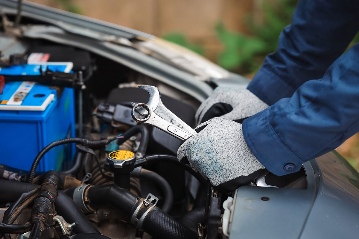    Фото: Teerapong mahawan / Shutterstock.com