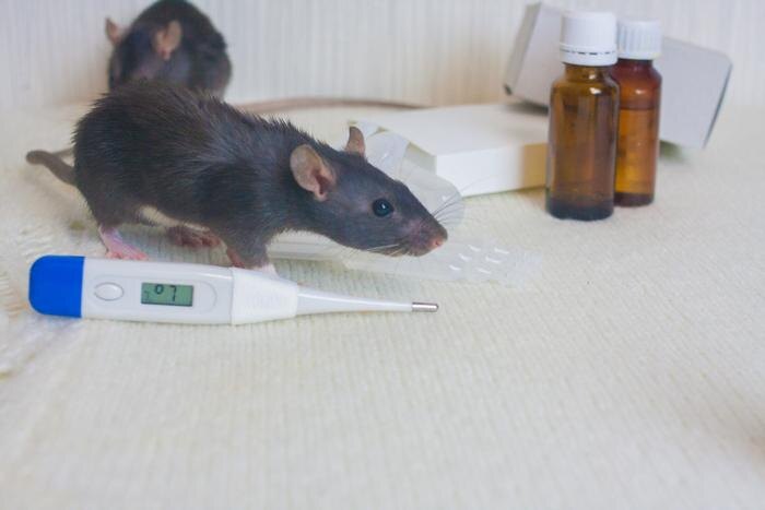 Обложка © Shutterstock / FOTODOM / Kseniia Vladimirovna