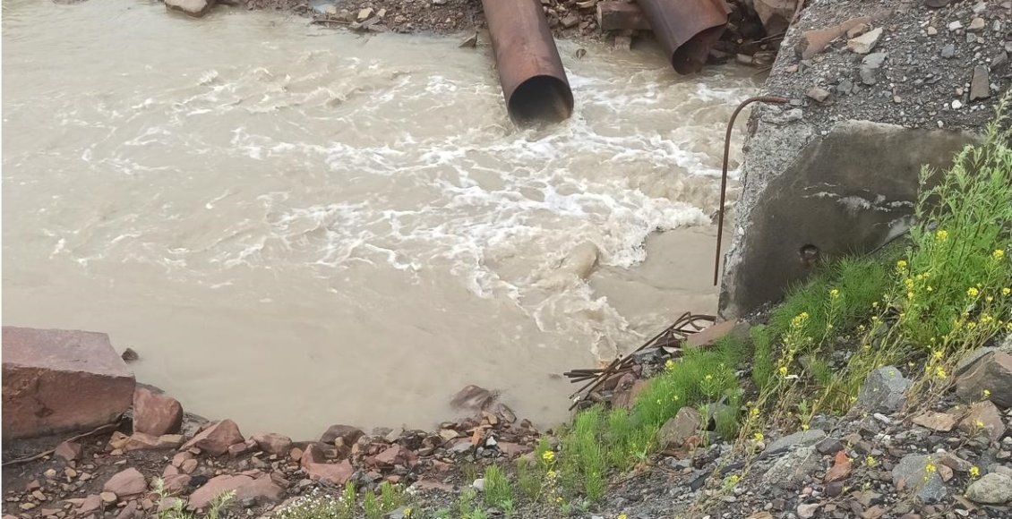    Фото: пресс-служба Росприроднадзора