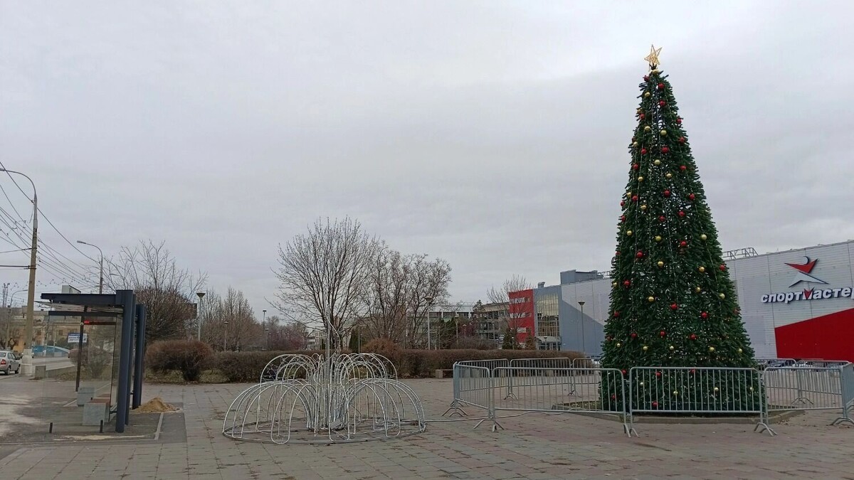    Ёлка около ТРК «Семь звёзд»   Сергей Матанцев / novostivolgograda.ru