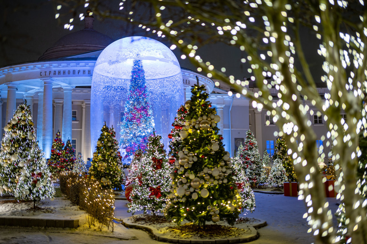 фото с сайта https://ag.mos.ru