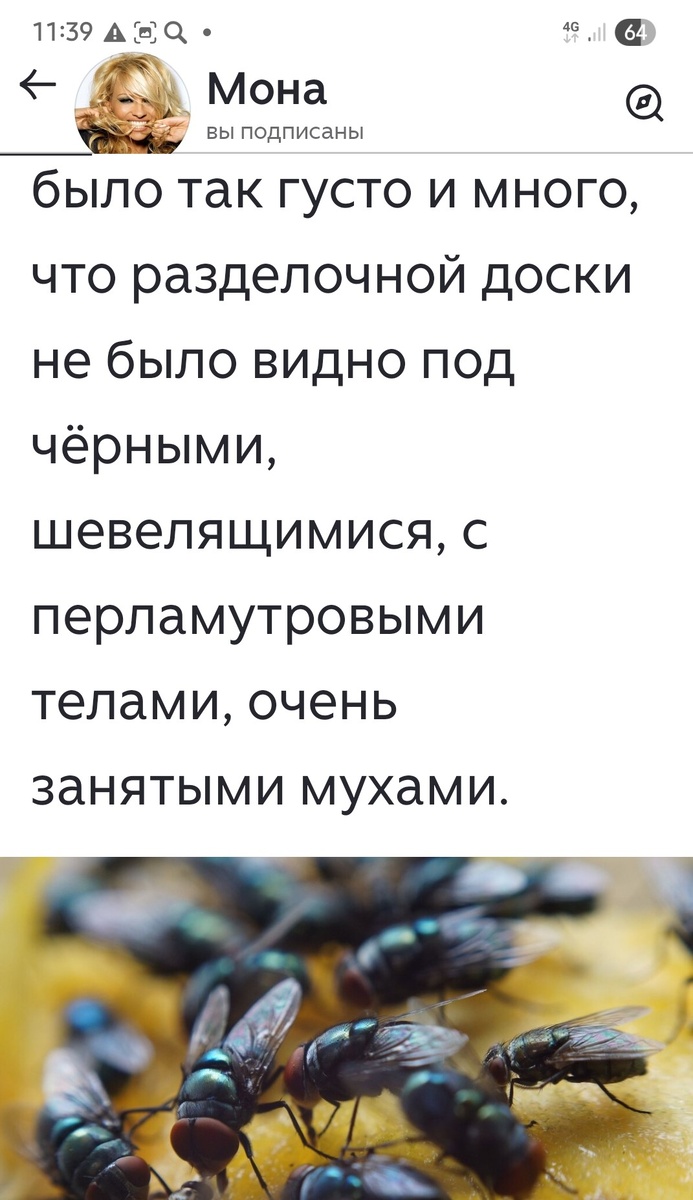 Мона, на свою жизнь посмотри!