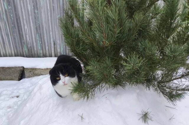    Фото: АиФ/ Юлия Францова