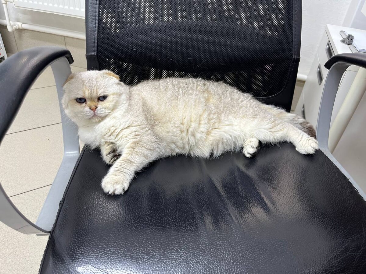 Жизнь такова и более никакова 