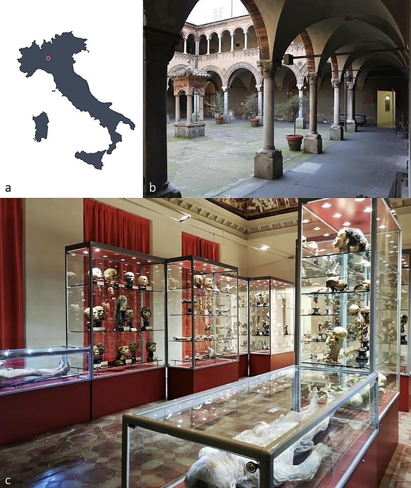   Omar Larentis et al. / Frontiers in Medicine, 2025