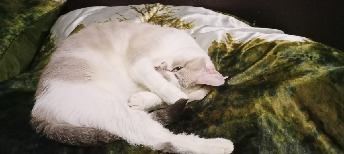 Фото автора. Соня