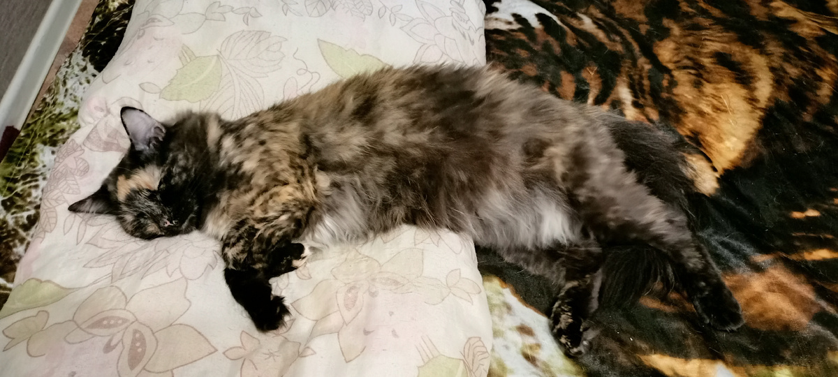 Фото автора. Тося