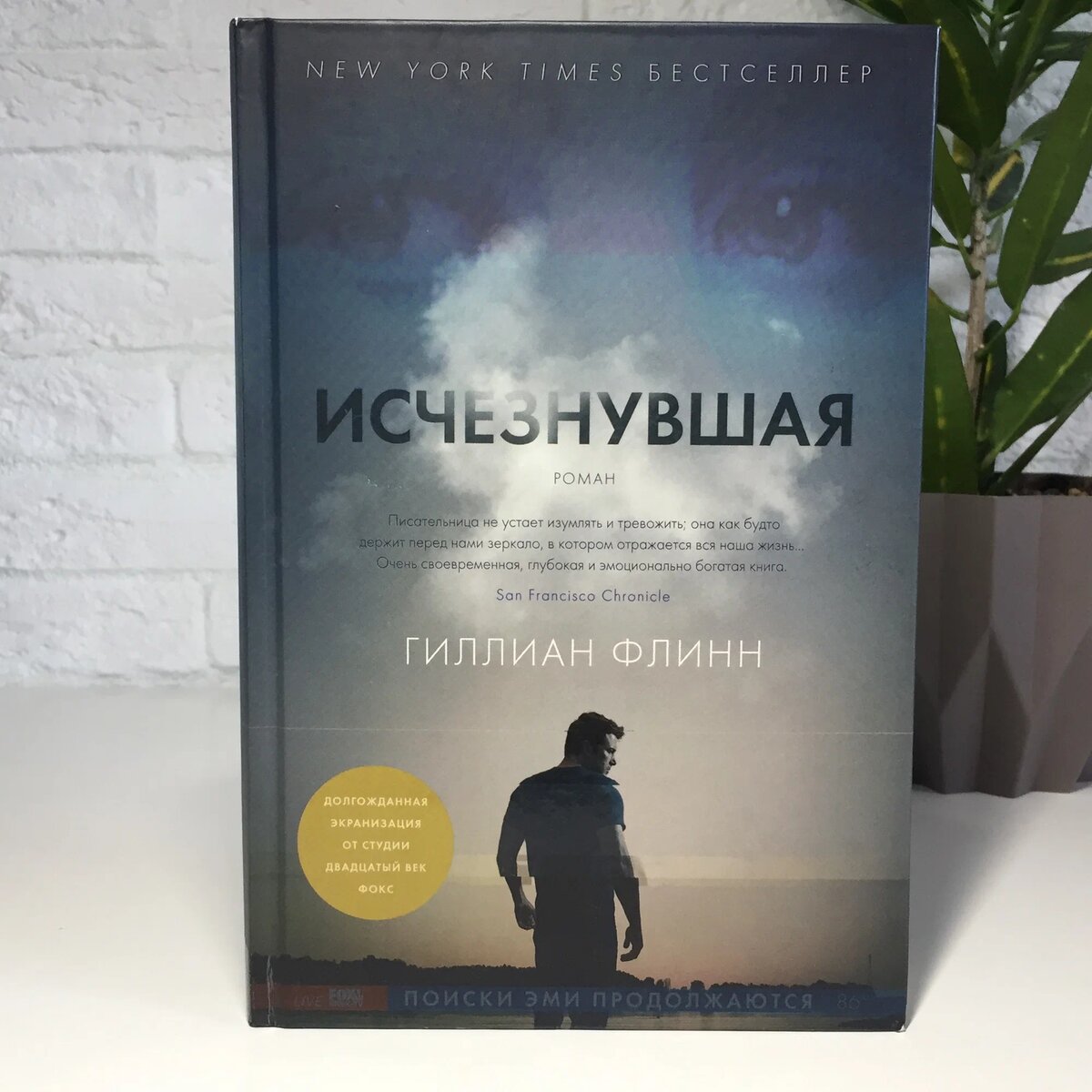 Изображение из свободного доступа: обложка книги «Исчезнувшая»