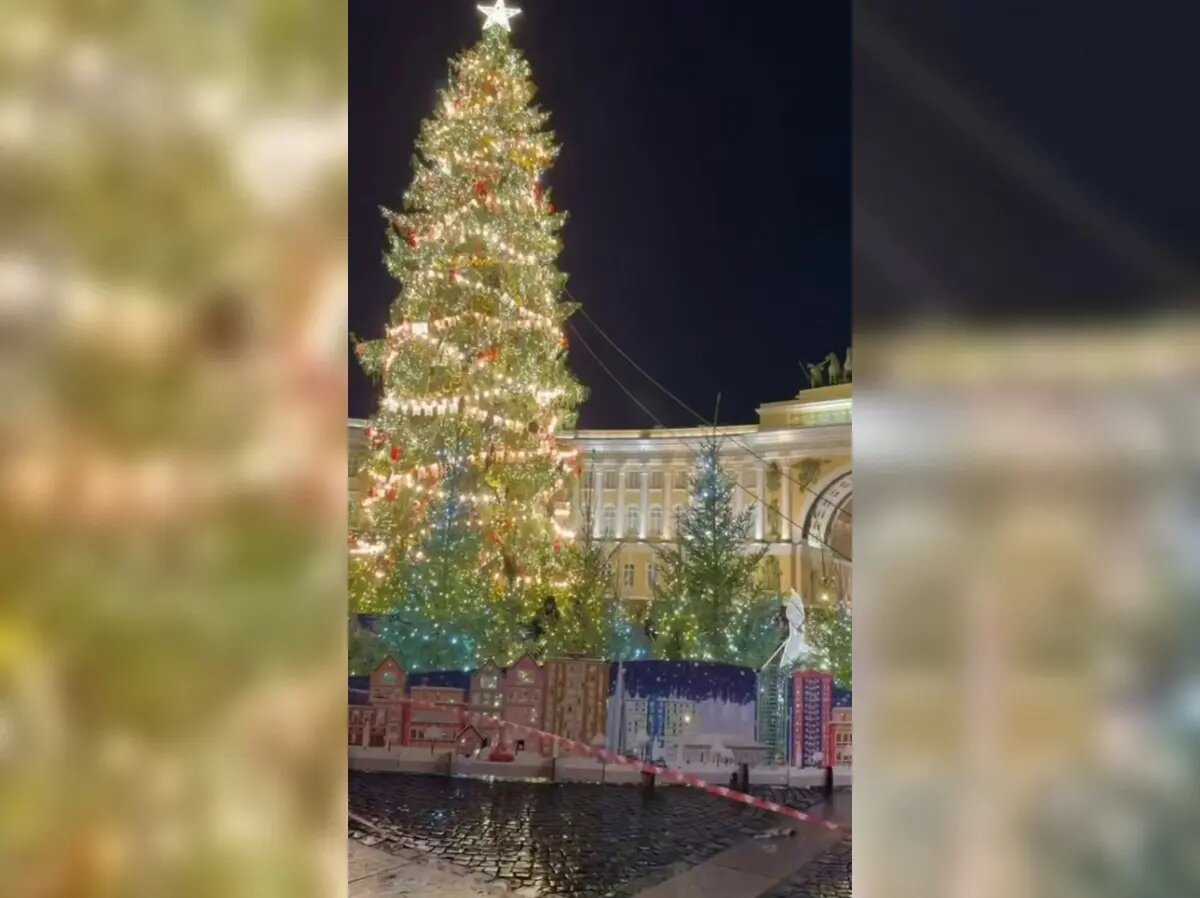    Фото: стоп-кадр видео от пресс-службы вице-губернатора Бориса Пиотровского