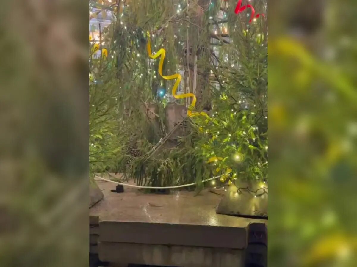    Фото: стоп-кадр видео от пресс-службы вице-губернатора Бориса Пиотровского