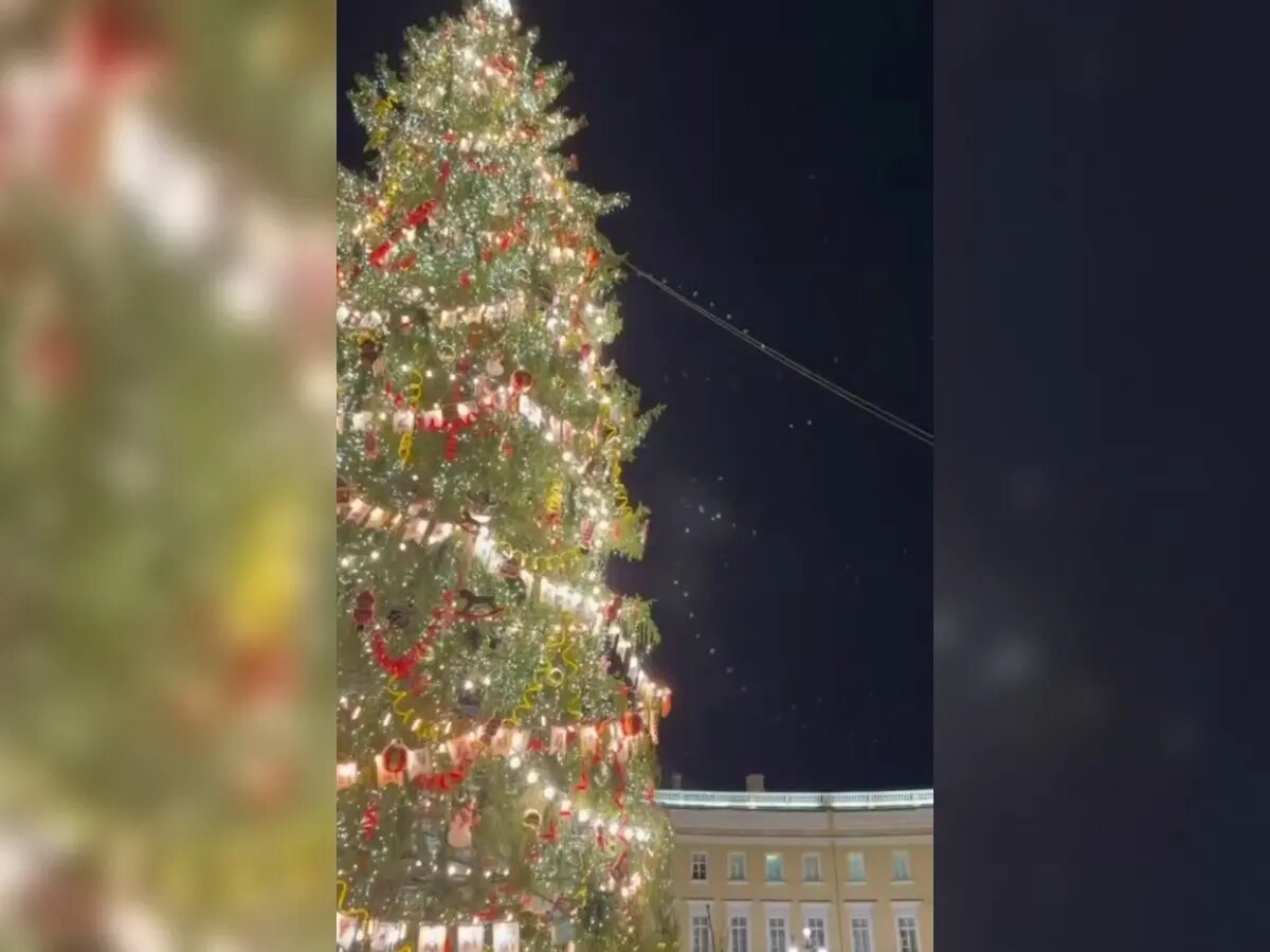    Фото: стоп-кадр видео от пресс-службы вице-губернатора Бориса Пиотровского