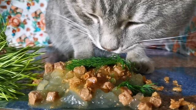 Картинки Яндекс