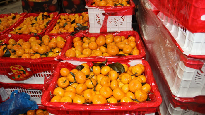    Фото: 55.fsvps.gov.ru