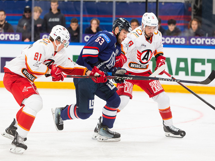     Фото: Андрей Холмов/ХК «Лада»