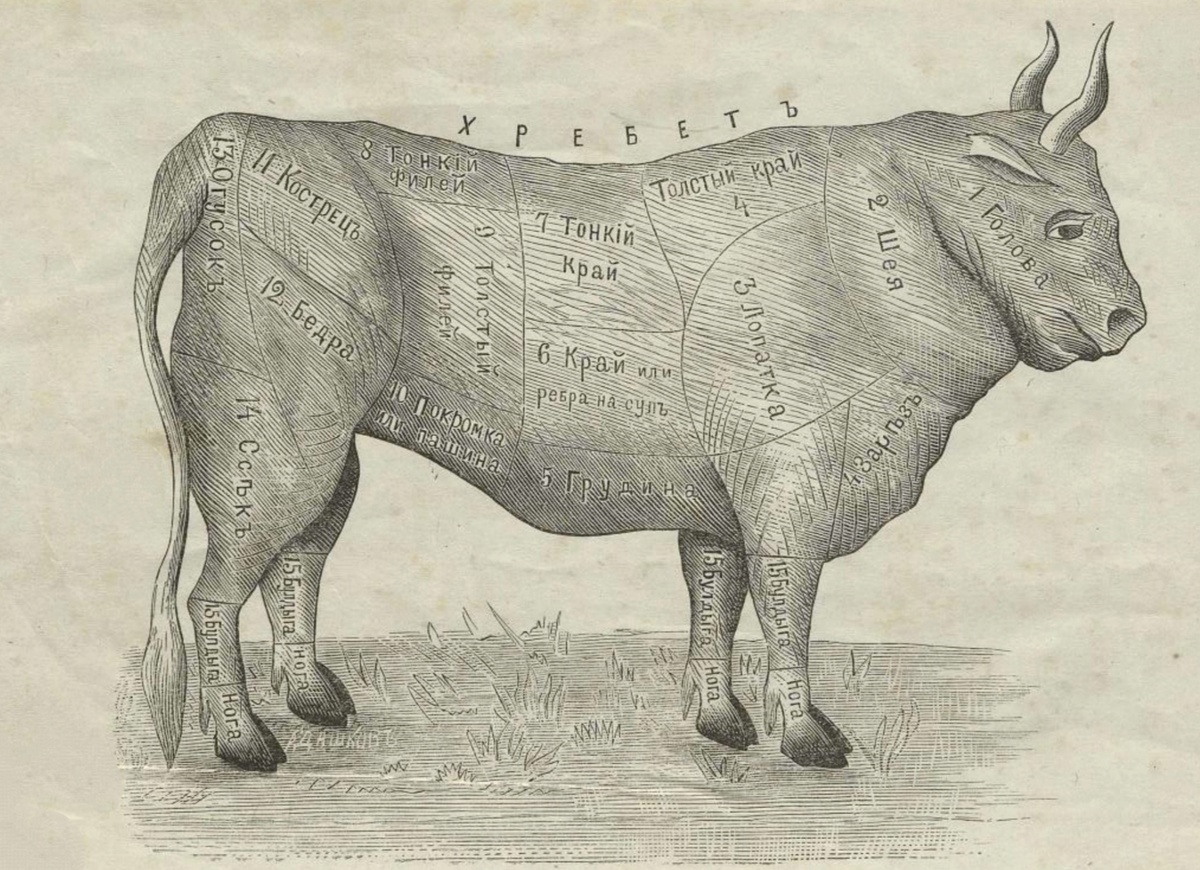 Из книги П. А. Андреевой  «Толковая поваренная книга.» 1892. 