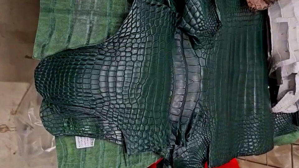     Пассажир из КНР с набитым крокодиловыми шкурами багажом задержан в Шереметьеве ФТС России