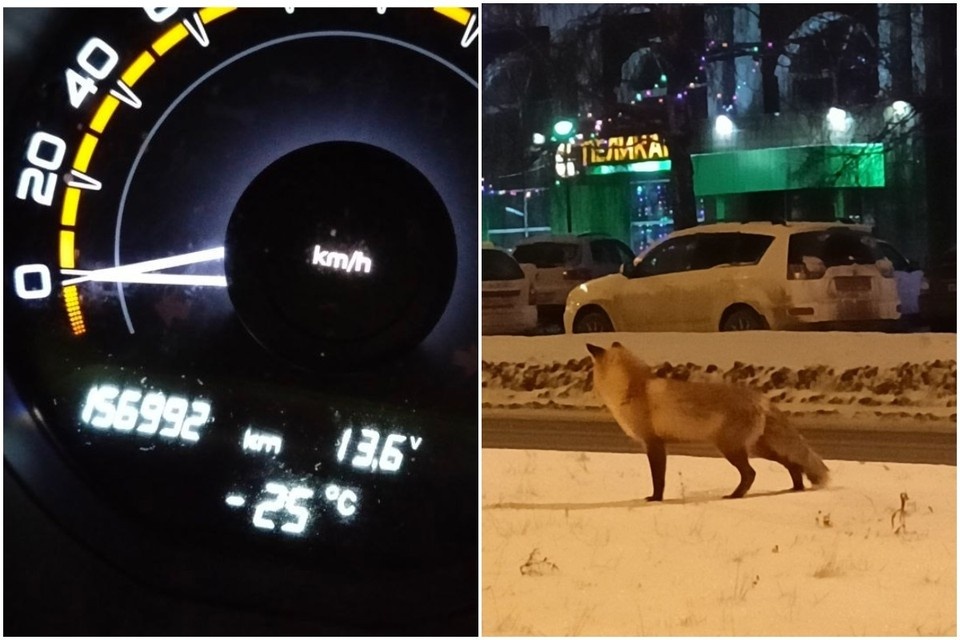    Переохлаждение развивается быстро и почти незаметно. Фото: поисково-спасательный отряд «ЛизаАлерт» Самарской области.