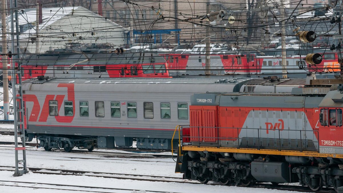    Фото: Svetlana Vozmilova/globallookpress.com