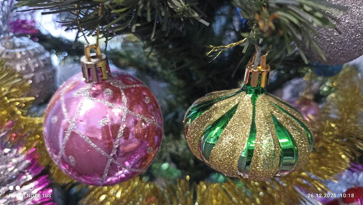 С наступающим Новым годом, друзья! Фото автора.