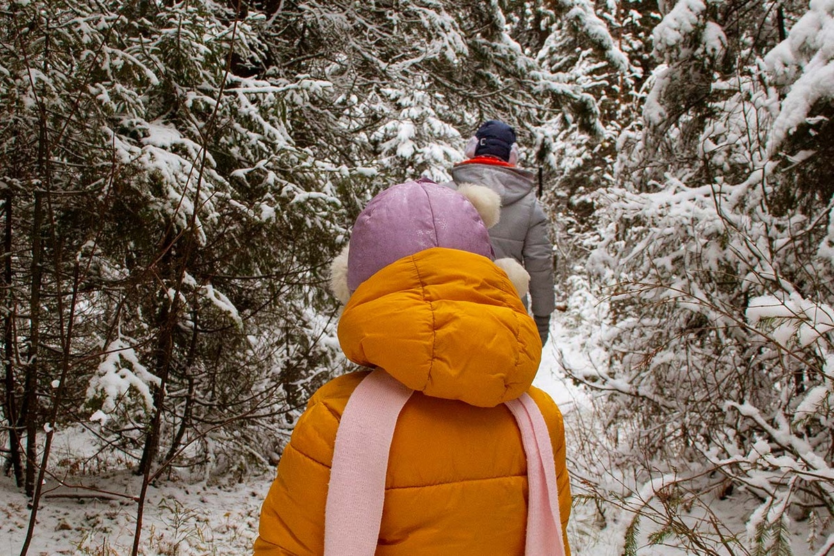 Исчезновение семьи Усольцевых получило неожиданное развитие.  Фото: pxhere.com