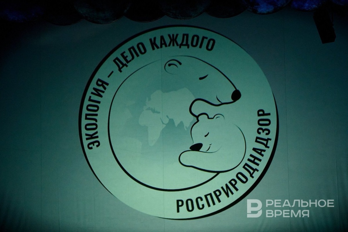   Динар Фатыхов / realnoevremya.ru