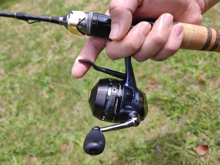    Фото: wiki commons/Smartiejl/CC BY-SA 4.0 Ирина Моргунова