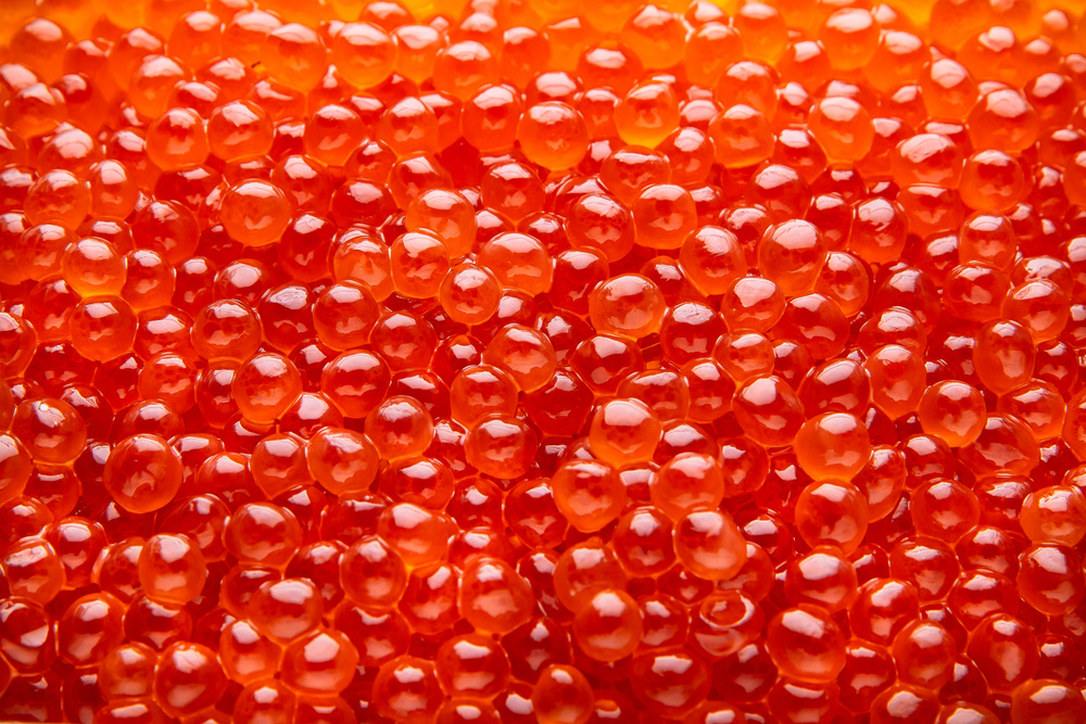 Shutterstock📷Для производства структурированной икры используется продукция, которая потеряла свою форму: битые или очень мелкие икринки, которые выглядят непривлекательно и не подходят для продажи по высокой цене