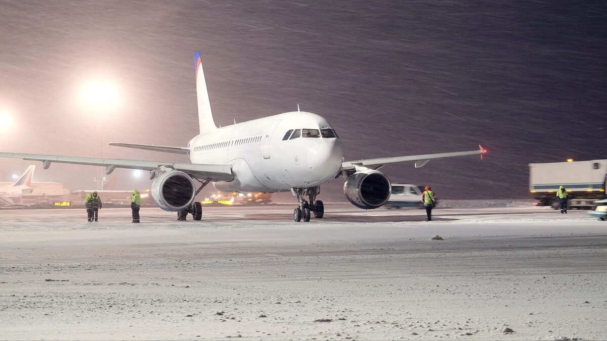    Фото: Vereshchagin Dmitry/Shutterstock/Fotodom