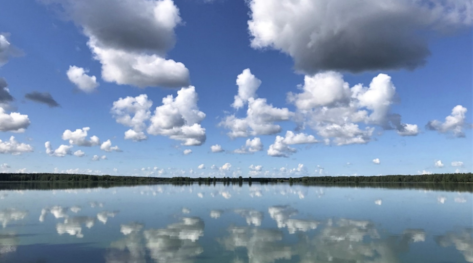 Рыбоводство – золотая рыбка России. Очень видная и неуловимая