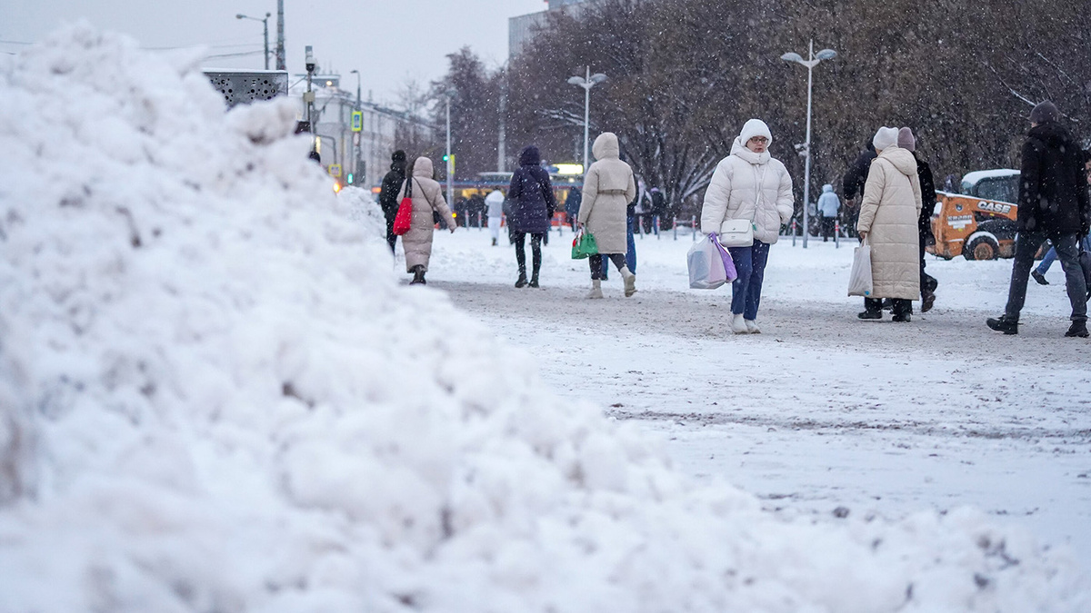   Александр Авилов / Агентство «Москва»