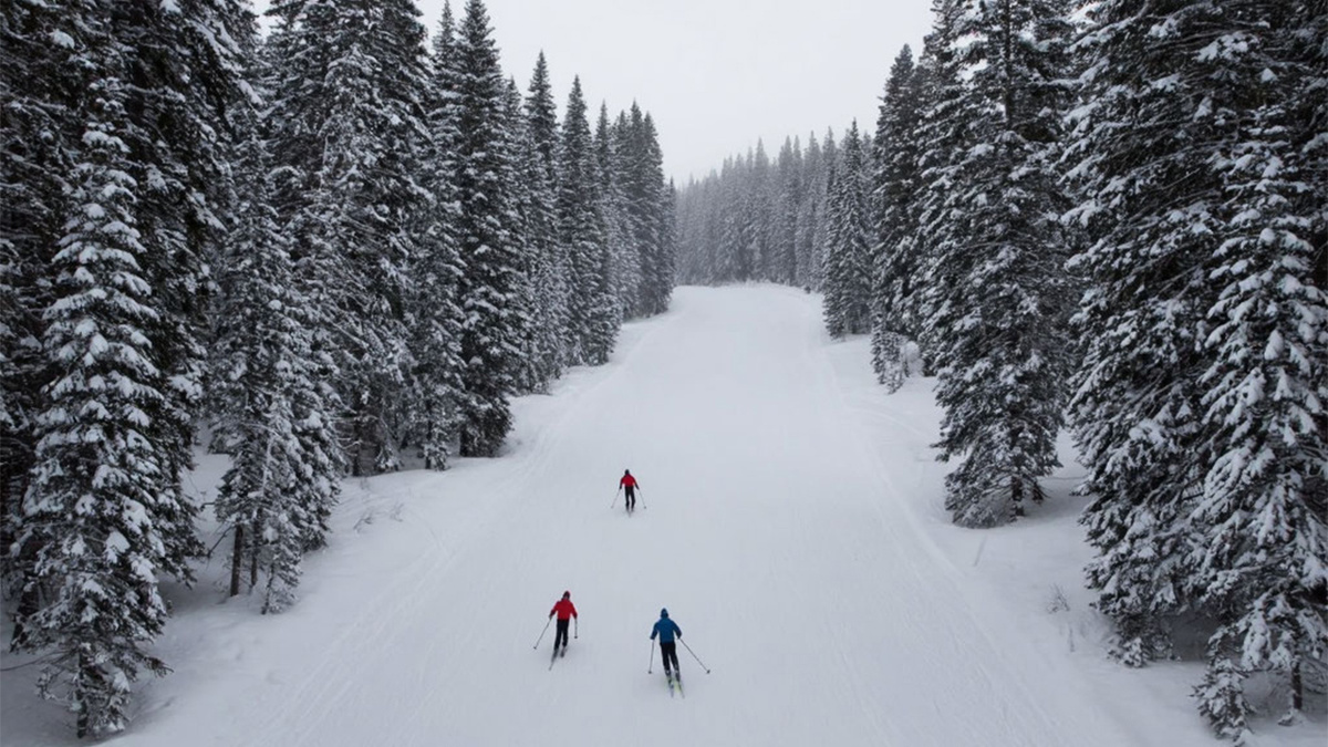 Зимой очень много активных развлечений, Фото нейросеть
